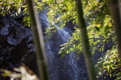 《战神》PC版移植开发商将继续致力于该系列开发