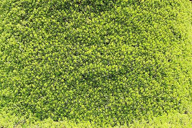 索尼分享《浪人崛起》新开发者日记