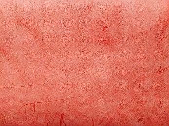 日本人气组合Yoasobi与《宝可梦》联动新歌将于11月18日发布